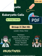 Lesson 3 - Prokaryotic Vs Eukaryotic Cells