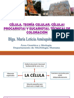 CELULA TEORIA CELULAR Prof. Amésquita