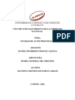 Nulidad de Actos Procesales. Teoria General Del Proceso