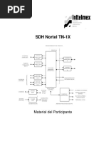 SDH TN - 1X Nortel - 6011000 - Octubre 1999