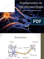 Fundamentos Da Psicofarmacologia (Portugues)