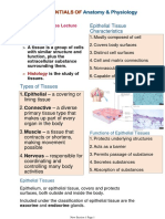 Chapter4 Anaphy+tissues