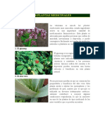 10 Plantas Medicinales 2