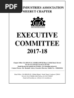 IIA Meerut Chapter Meerut Ex Comm List2017-18