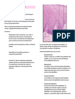 Histología Oral