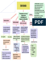 Mapa C. de Tinsiones.