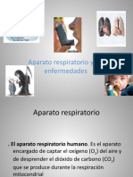 Aparato Respiratorio