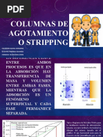 Columnas de Agotamiento o Stripping