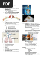 7.chest and Lower Respiratory Tract Disorders