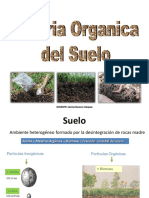 Materia Orgánica Del Suelo-Expo