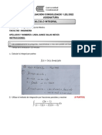 Calculo Interal Consolidado 1