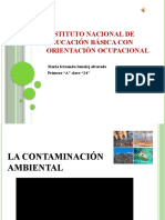 La Contaminacion