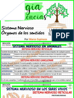 SRC Edu188 Modulos Estatico PDF 628d1719de711651038472