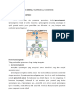 Proses Spermatogenesis