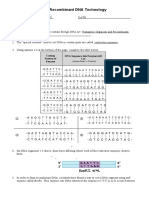 R-DNA Activity