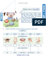 El Oido y La Vista para Tercer Grado