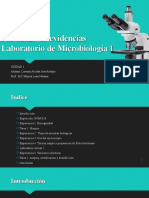 Portafolio de Evidencias