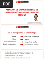 Atención de Casos de Riesgo de Desprotección Familiar - Flujograma Del Procedimiento