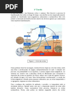 Tarefas Portofólio Biologia