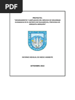 INFORME MENSUAL AMBIENTAL Septiembre Av Caracas