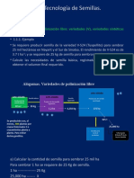 Problemas de Producción de Semillas 2021 B