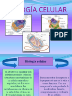 Temática I Introducción