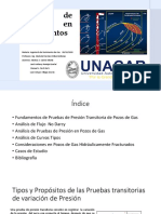 Tarea 4 Pruebas de Presión Producción en YNF