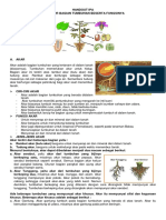 Handout Ipa Struktur Bagian Tumbuhan