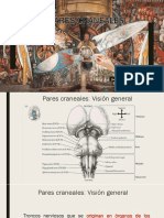 Pares Craneales PDF