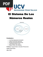 Sistema de Los Numeros Reales