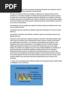 Ecosistema Pluvial