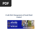 Internship Report On Credit Risk Managem