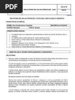 Relatório de Aulas Práticas Ead - Aula 02 Bases Da Biologia Celular, Molecular e Tecidual