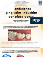 Artículo 3. Condiciones Gingivales Inducidas Por Placa Dental