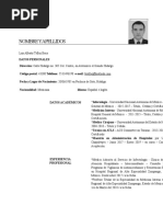 CV Tellez Baca Luis Alberto