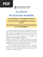 Ciclo Glucosa-Alanina