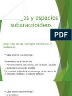 Meninges y Espacios Subaracnoideos