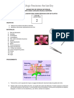 Laboratorio Sobre Reproduccion en Plantas 6. 2022