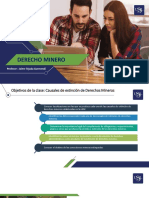 9na Semana - Causales de Extinción de Derechos Mineros - Destino de Los Derechos Mineros Extinguidos