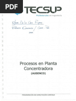 Proceso en Planta Concentradora