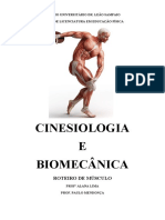 Roteiro+de+Cinesiologia