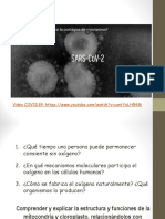 Módulo 4. Organelas Bioenergéticas