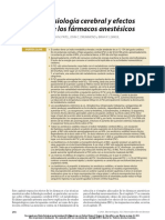 Fisiología Cerebral y Efectos de Los Fármacos Anestésicos