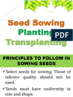 Seed Sowing Planting Transplanting