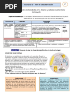 PDF Documento