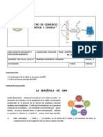 GUÍA No.5 GENÉTICA MOLECULAR - ARN 2022