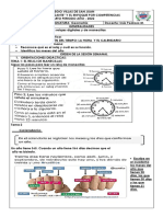 Geometría Secuencia Didactica