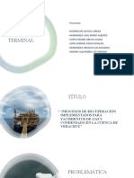 Proyecto Terminal