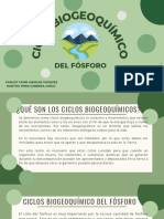 Ciclo Biogeoquimico