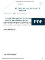 Glúteos - Qué Son, Función, Origen, Inserción, Inervación y Lesiones